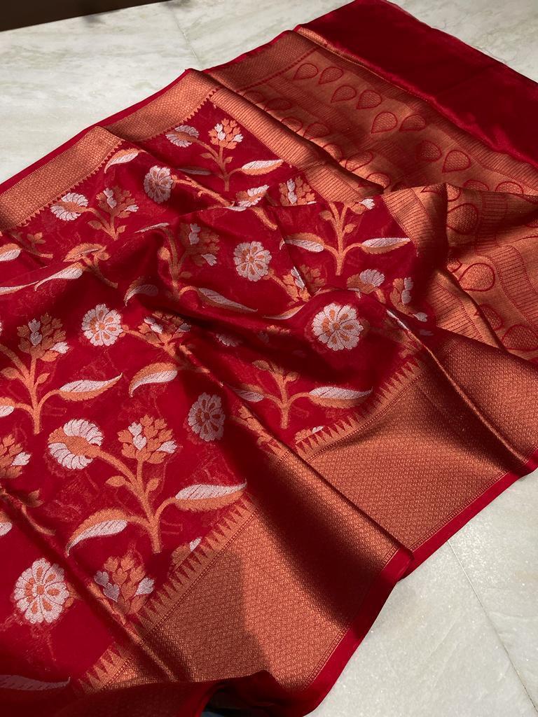 Banarasi Dyable Warm Soft Silk Saree