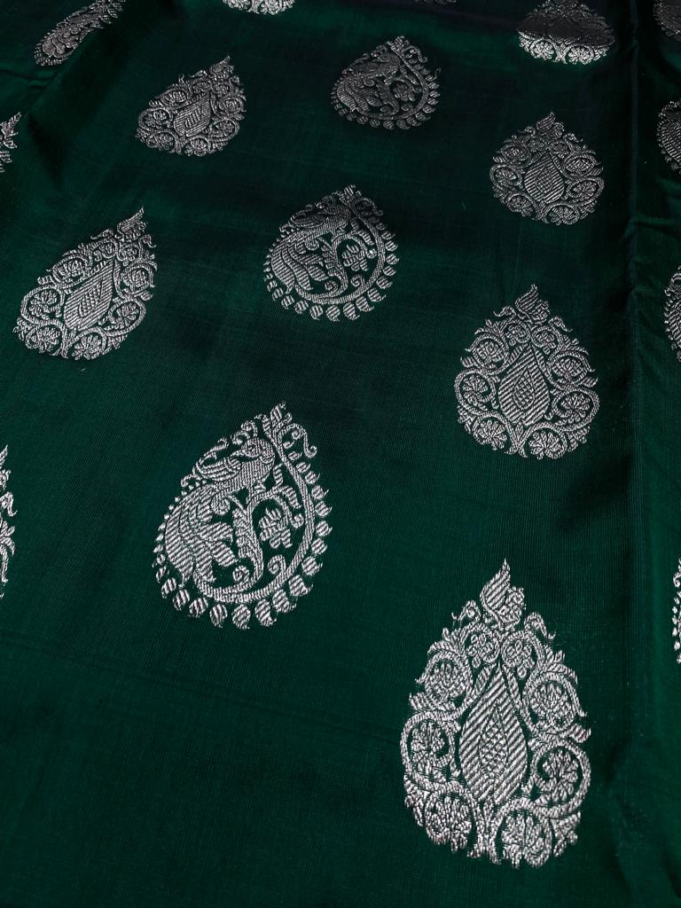 Pure venkatagiri handloom pattu saree - Vannamayil Fashions