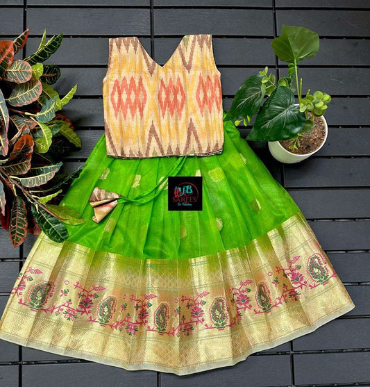 0 - 14 years Digital flower printed organza frock with ikkat tussar silk top