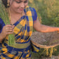 Arani kovai paalum pazhamum checked pattu saree