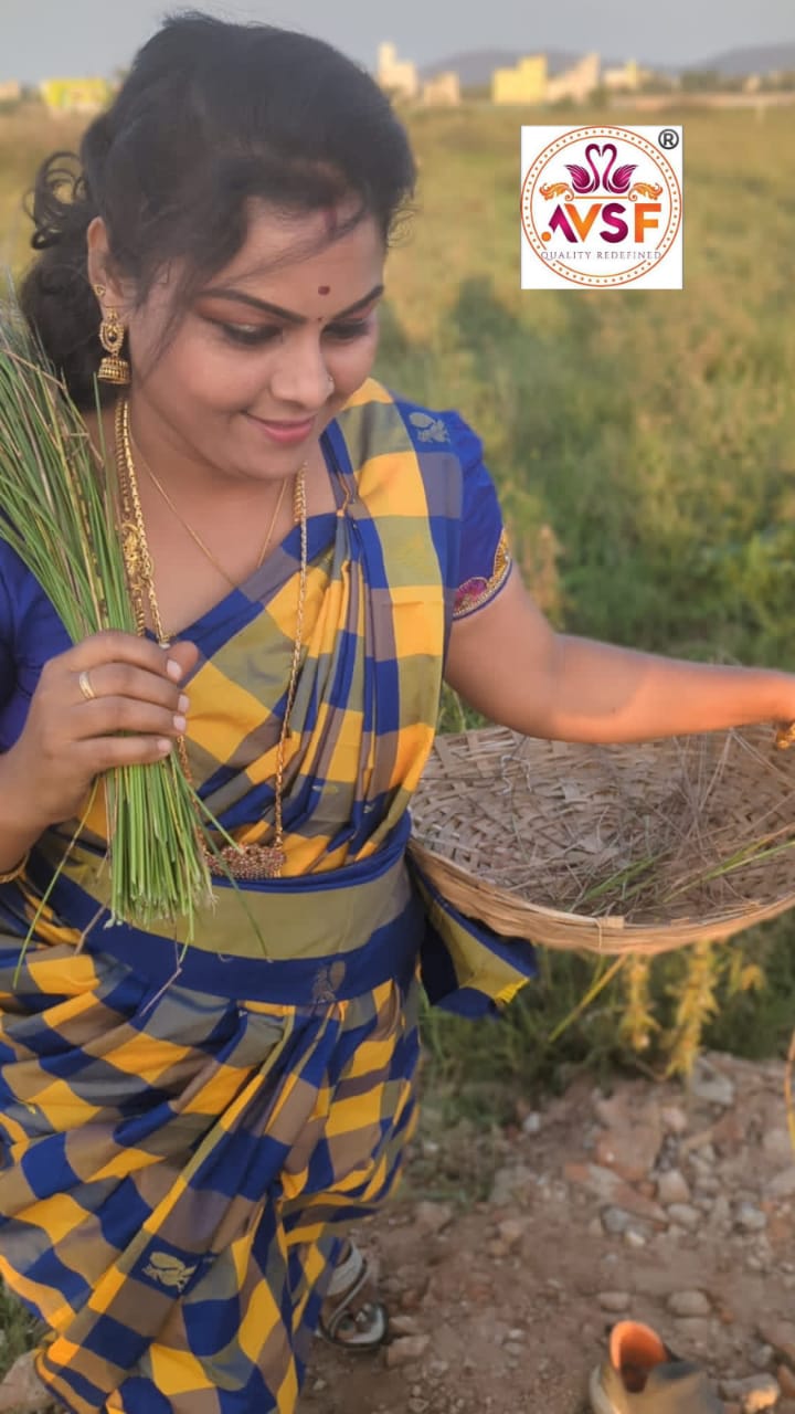 Arani kovai paalum pazhamum checked pattu saree