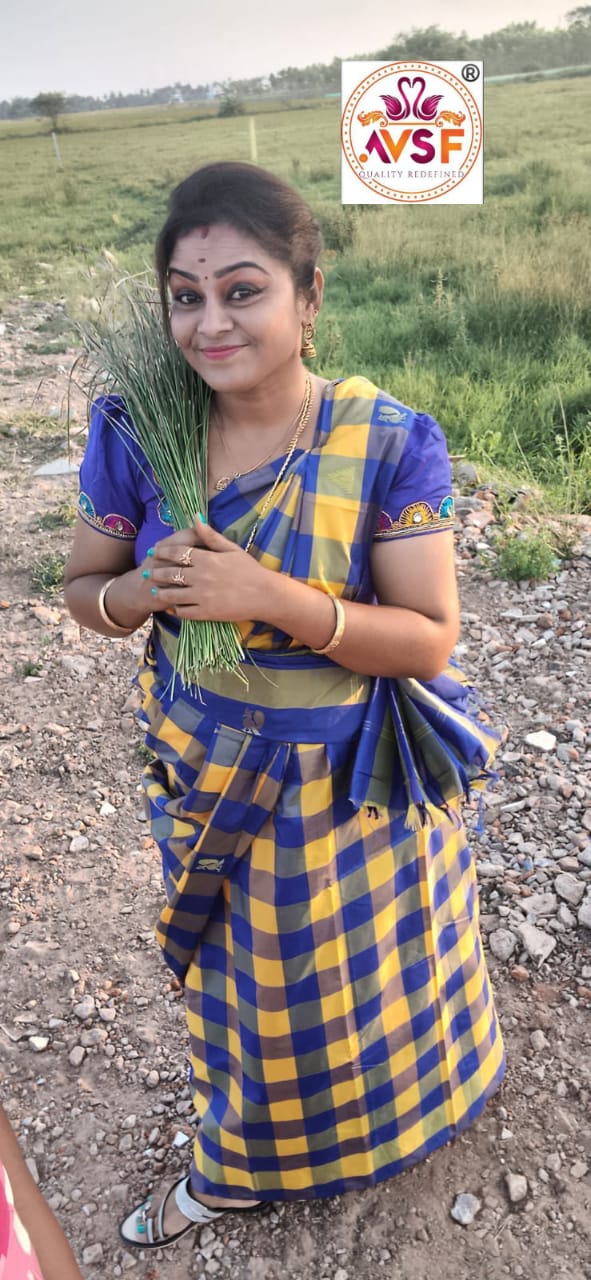 Arani kovai paalum pazhamum checked pattu saree