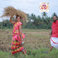 Arani kovai paalum pazhamum checked pattu saree