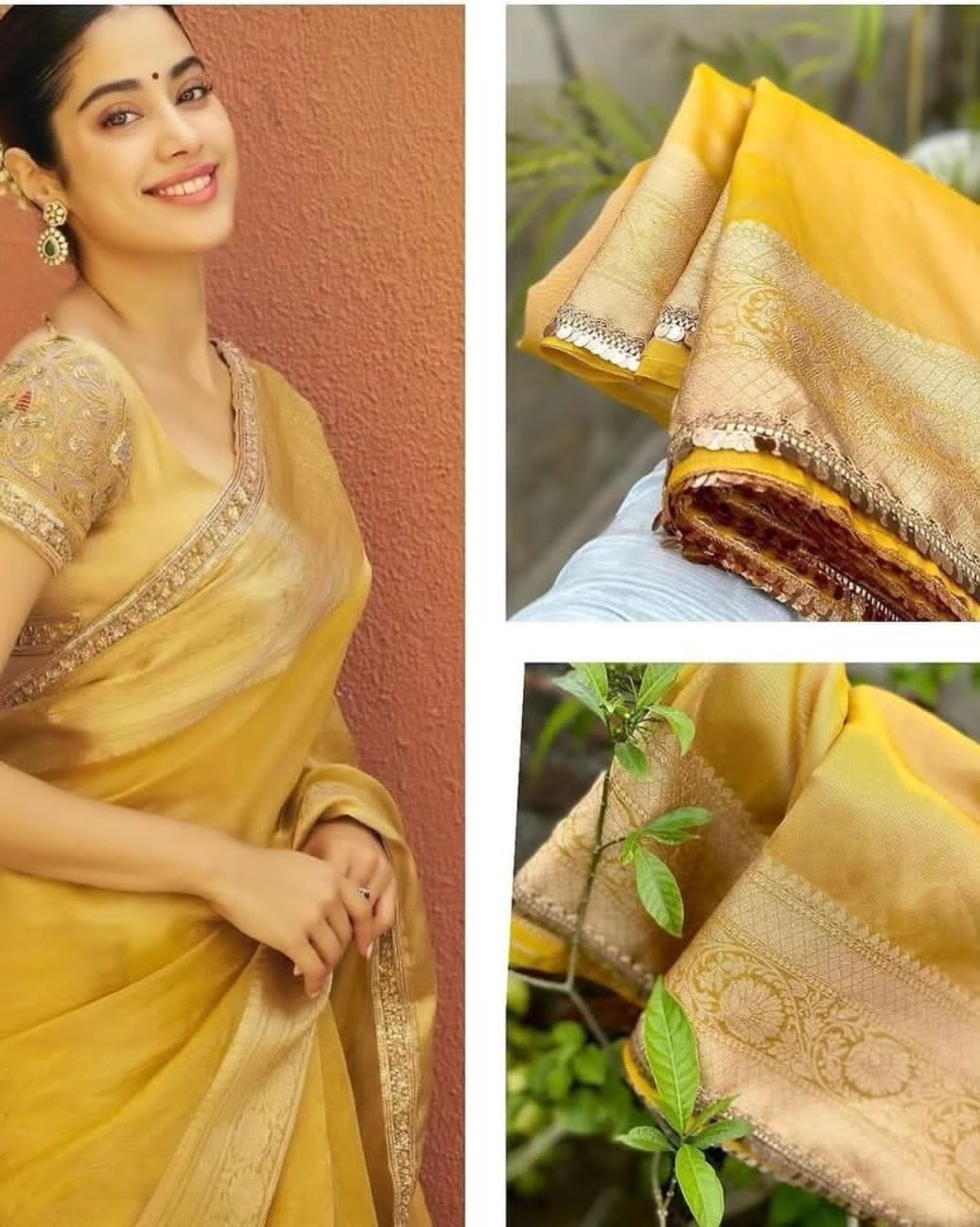 Banarasi tissue saree