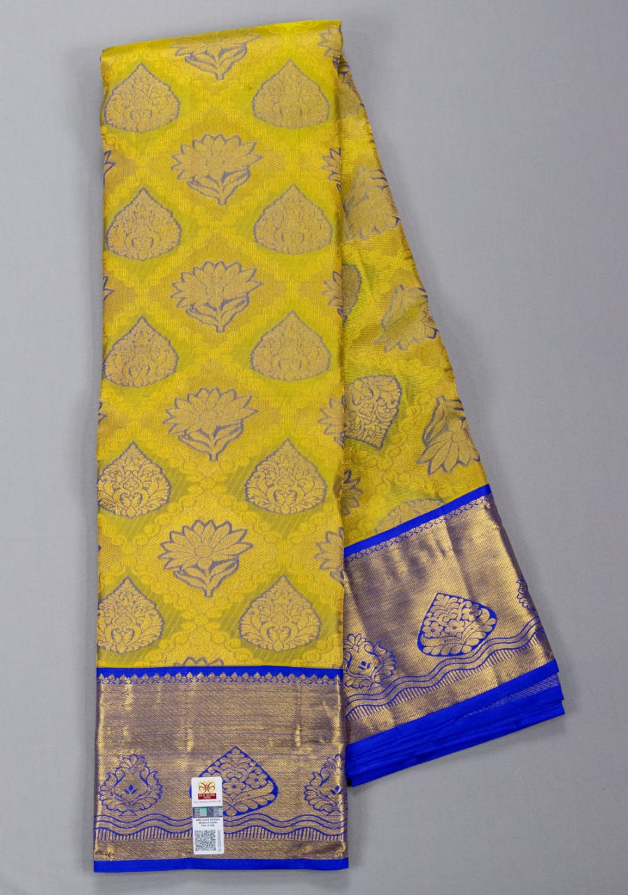 Kili Pachai Dupion Silk Saree With Embroidery Work At The Drape , Plea –  SonaMandir