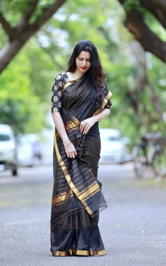 Mangalagiri pattu two side zari border middle zari check saree