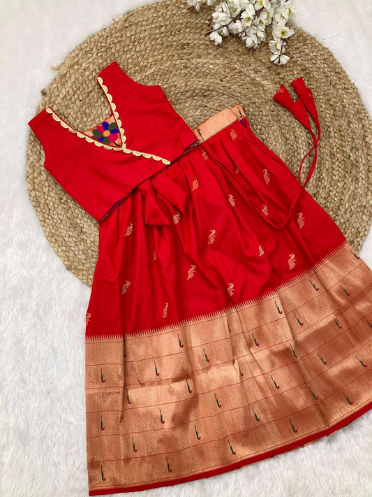 Paithani Silk Skirt and Top