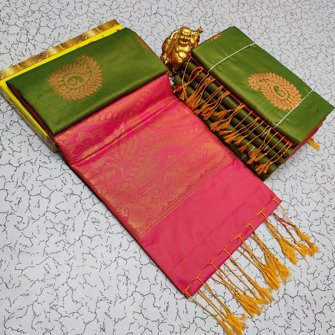 Elampillai Borderless Soft Silk Saree