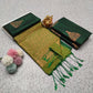 Elampillai Borderless Soft Silk Saree