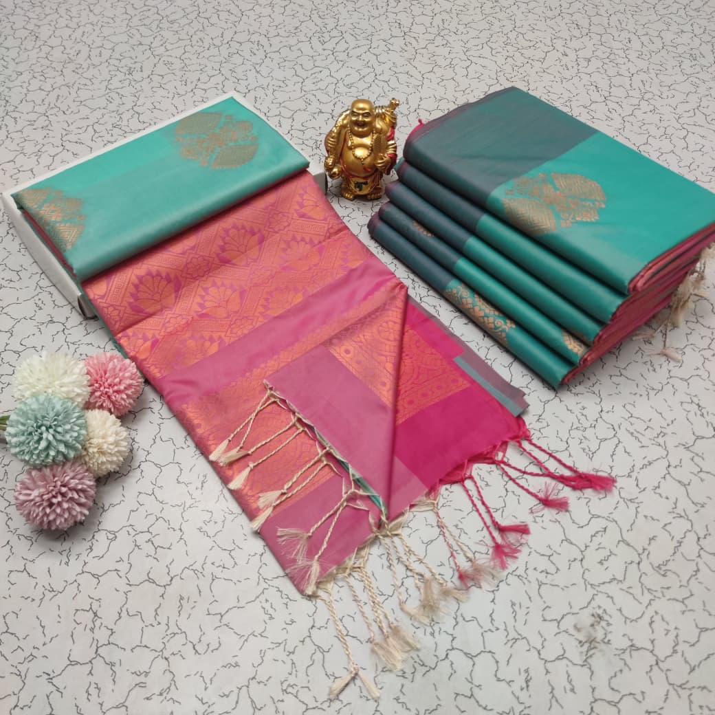 Elampillai Borderless Soft Silk Saree