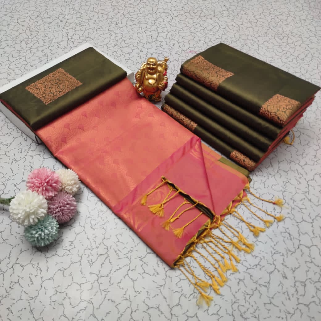 Elampillai Borderless Soft Silk Saree
