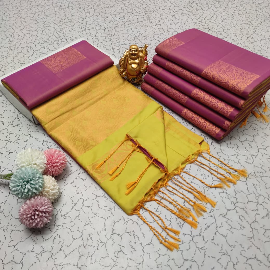 Elampillai Borderless Soft Silk Saree
