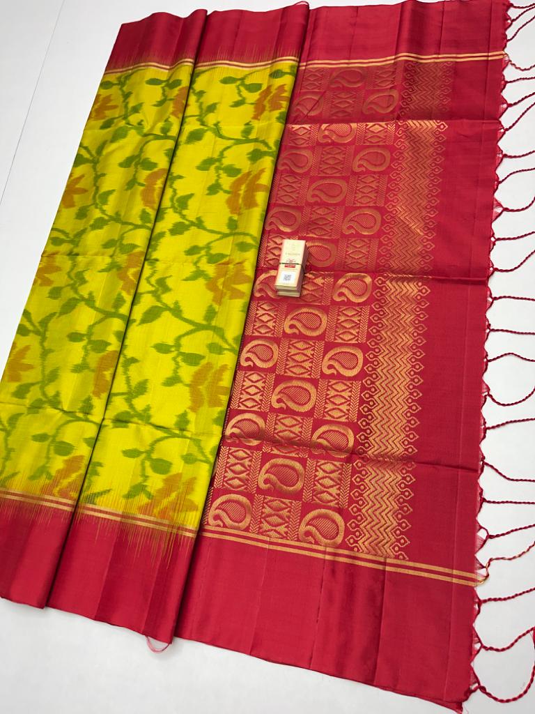 Ikkath Weaves Off White Silk Kaddi Bordered Ikkat Handloom Saree