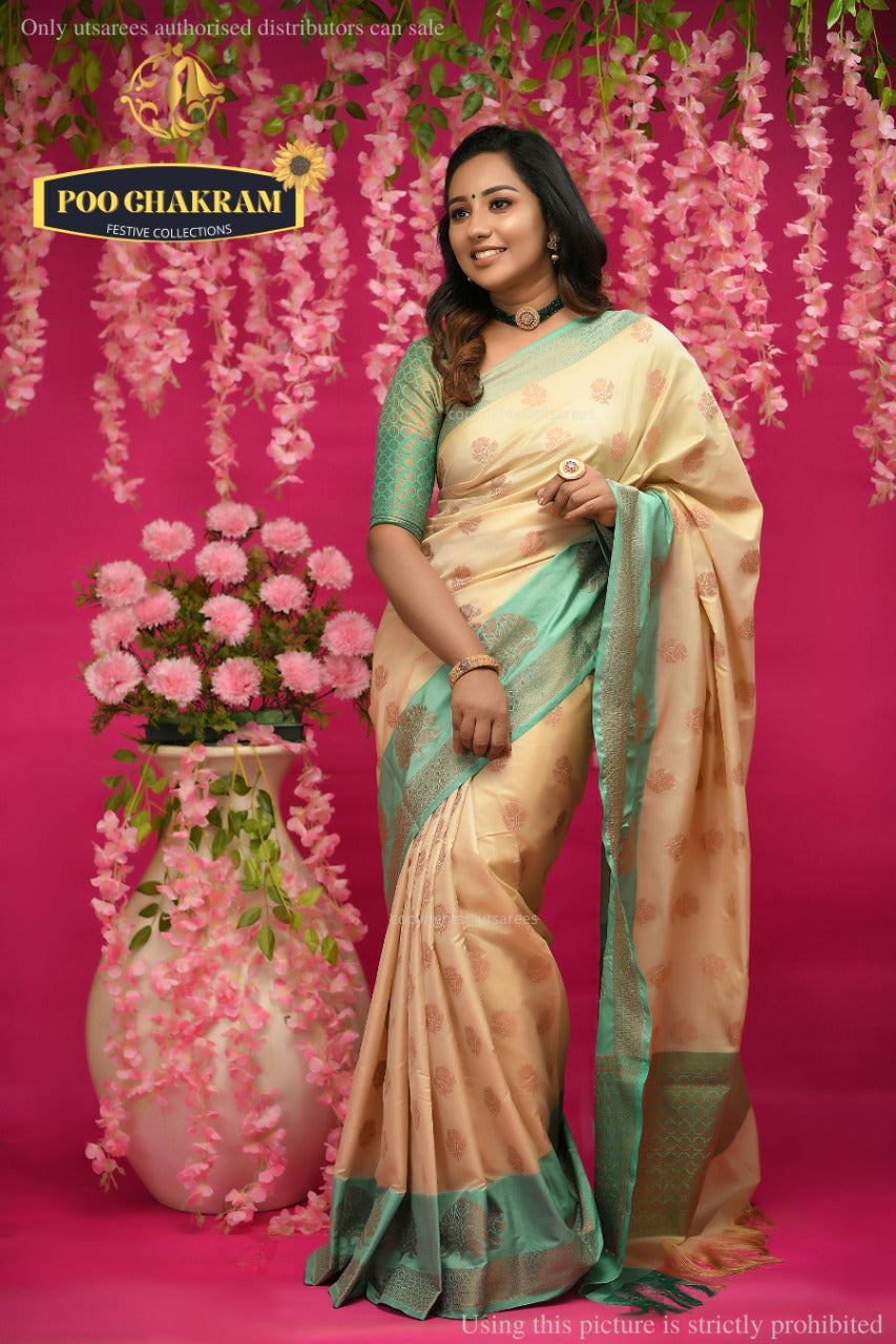 Buy SG DRAPES Pure Zari Work Bandhni Banarasi taffeta Silk Saree Jaal  design (GREEN) at Amazon.in